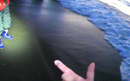 サーフでヒラメ65㎝　港ではアナゴとウツボ